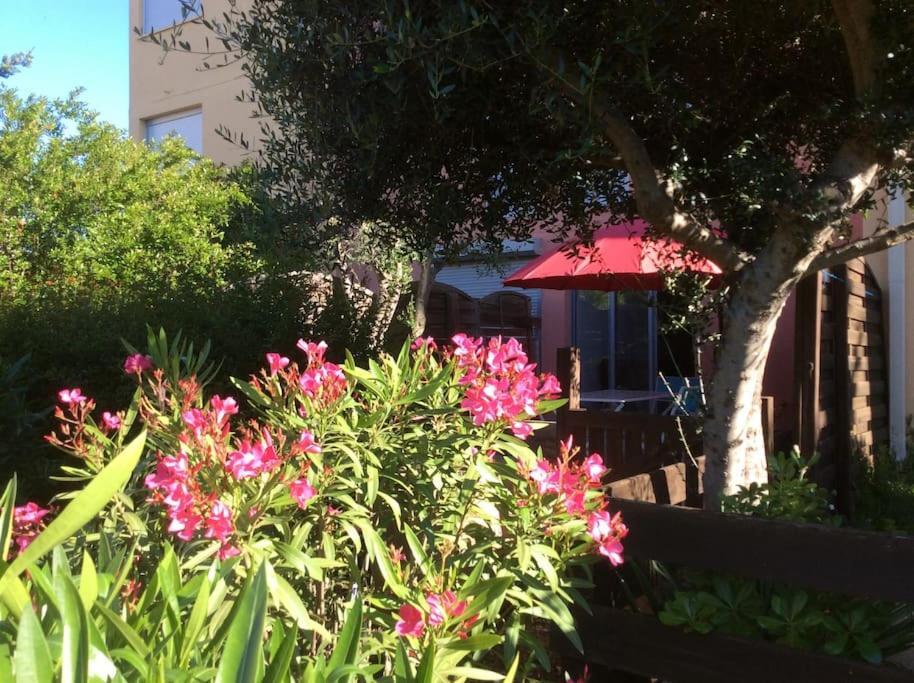 Cap Agde Studio-Cabine Jardin Clos, Port Et Plage エクステリア 写真